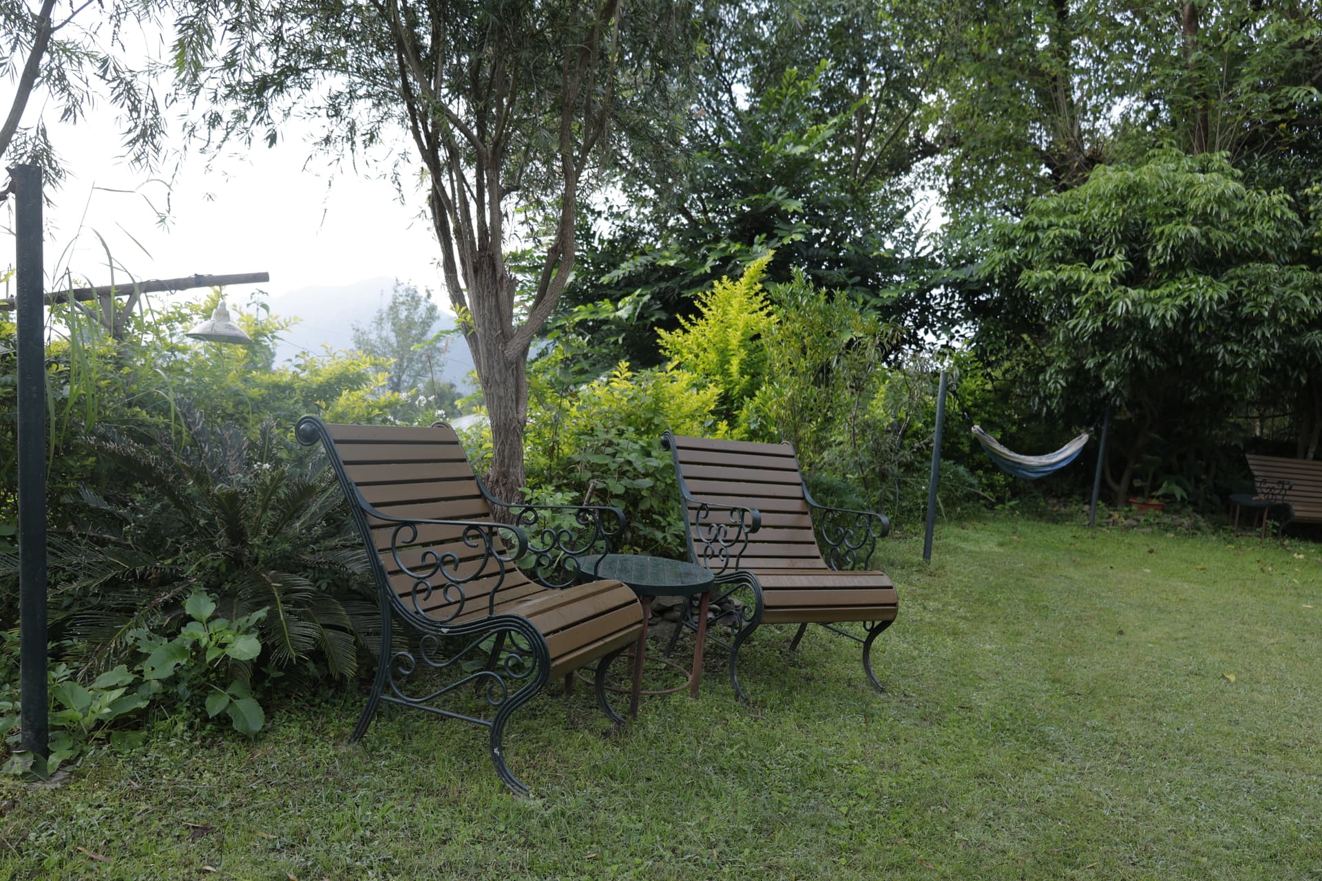 Chairs set out in nature at Green Glen — a peaceful spot for birdwatching and quiet mornings
